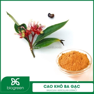 Cung cấp cao khô ba gạc hàng chất lượng cao giá tốt