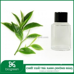 Cung cấp chiết xuất trà xanh không màu sản xuất mỹ phẩm thiên nhiên