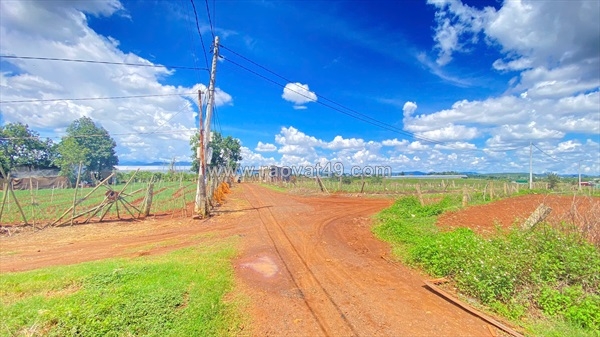 ~/Img/2026/6/dat-2-mat-hem-nthon-ha-duc-trong-cu-lam-dong-11000m2--01.jpg