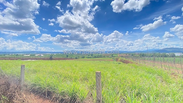 ~/Img/2026/6/dat-2-mat-hem-nthon-ha-duc-trong-cu-lam-dong-11000m2--02.jpg