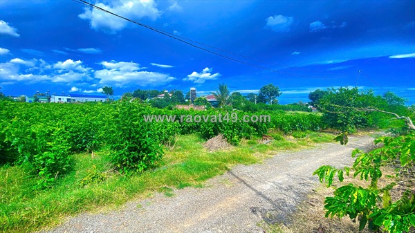 Đất hẻm thông ra đt 724, tân hội, đức trọng cũ, lâm đồng