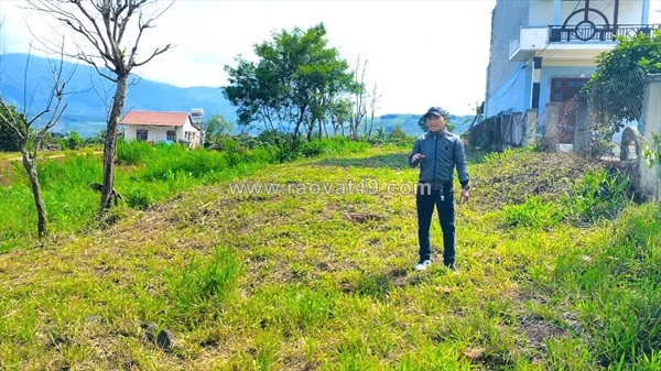 ~/Img/2026/6/dat-mat-tien-quoc-lo-20-tam-bo-di-linh-cu-lam-dong-02.jpg
