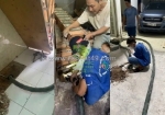 Dịch vụ thông bồn cầu nghẹt môi trường tâm phúc – uy tín, chuyên nghiệp