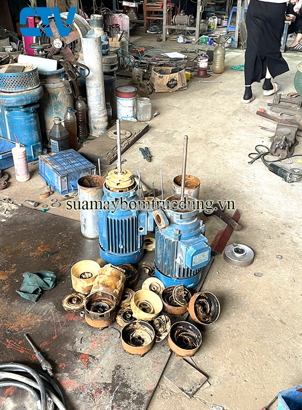 Đơn vị sửa chữa, thay thế buồng bơm máy bơm trục đứng pentax chuyên nghiệp