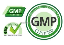 Gia công mỹ phẩm chuẩn gmp – nền tảng cho thương hiệu mỹ phẩm chuyên nghiệp
