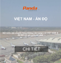 Giá cước vận tải hàng không từ việt nam đi ấn độ