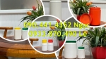 Hộp nhựa 250g đựng bột matcha, hủ nhựa 100g đựng bột ca cao, hủ nhựa 50g đựng tinh bột nghệ