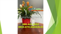 Hủ nhựa 1 ký đựng nước sốt, hủ nhựa 0.5 ký đựng bột ăn dặm