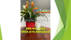 Hủ nhựa 1 ký đựng nước sốt, hủ nhựa 0.5 ký đựng bột ăn dặm