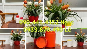 Hủ nhựa 1 ký nắp vặn, hủ nhựa 500gr đựng hóa chất dạng vuông