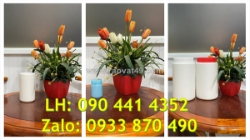 Hủ nhựa 100gr đựng bột nghệ, hủ nhựa 200gr đựng bột năng, hủ nhựa 250gr đựng bột diệp lục