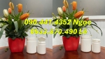 Hủ nhựa 500g nắp garenti, hủ nhựa 1000gr đựng hóa chất, hộp nhựa 2 ký tròn đựng hóa chất