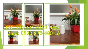 Hủ nhựa 50gr nắp xé, hủ nhựa 100g nắp vặn đựng thực phẩm, hủ nhựa 250g đựng yến mạch
