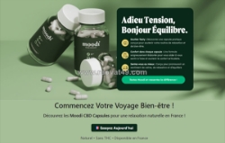 Moodi cbd avis 2026 – soutien quotidien naturel france