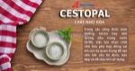 Một công thức mỹ phẩm thành công không chỉ được quyết định bởi hoạt chất nổi bật