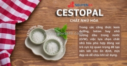 Một công thức mỹ phẩm thành công không chỉ được quyết định bởi hoạt chất nổi bật
