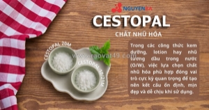 Một công thức mỹ phẩm thành công không chỉ được quyết định bởi hoạt chất nổi bật