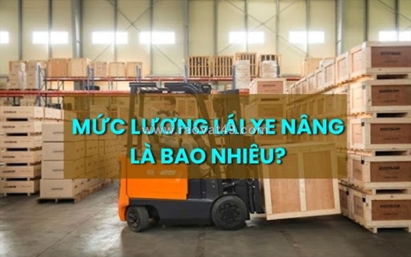 ~/Img/2026/6/muc-luong-lai-xe-nang-la-bao-nhieu-1-thang-cap-nhat-2026-01.jpg