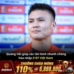 Quang hải 