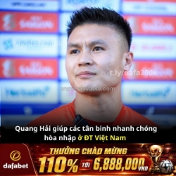 Quang hải 