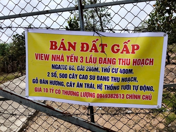 ~/Img/2026/6/sieu-pham-17ha-nha-yen-cung-500-cay-cao-su-dang-thu-hoach-dong-tien-san-tai-dong-ha-binh-thuan-01.jpg