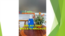 Sx can vuông 5 lít đựng hóa chất tại bình dương, bình nhựa 5 lít đựng xăng