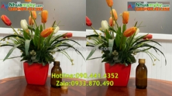 Sx chai nhựa đựng hóa chất 1 lít, chai nhựa 500ml, chai nhựa 250ml dày