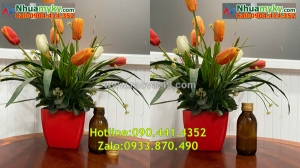 Sx chai nhựa đựng hóa chất 1 lít, chai nhựa 500ml, chai nhựa 250ml dày