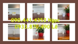 Sx hủ nhựa 50gr tròn, hủ nắp vặn 100gr, hủ nhựa 250g nắp xé