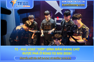T1 - hle: loạt 