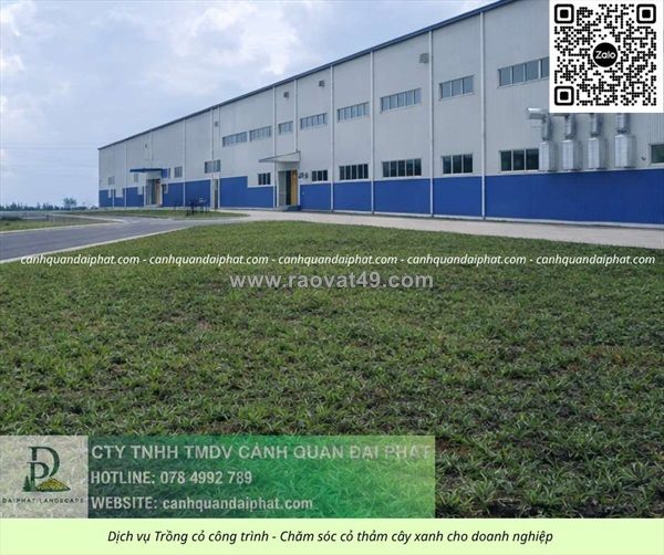 Thi công cỏ công trình giá rẻ cho doanh nghiệp tại đồng nai