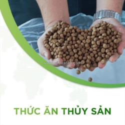 Thủ tục nhập khẩu thức ăn thủy sản