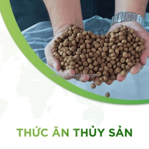 Thủ tục nhập khẩu thức ăn thủy sản