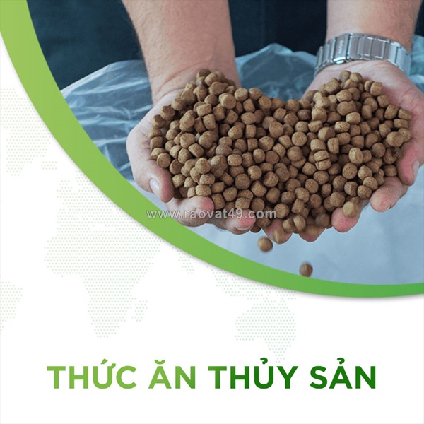 Thủ tục nhập khẩu thức ăn thủy sản