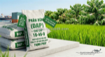 Thủ tục xuất khẩu phân bón dap (diammonium phosphate)