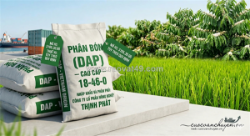 Thủ tục xuất khẩu phân bón dap (diammonium phosphate)