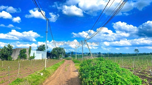 ~/Img/2026/6/tong-2-hec-ta-2-mat-hem-xa-duc-trong-lam-dong-02.jpg
