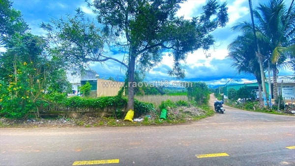 ~/Img/2026/6/tong-39-sao-2-mat-tien-nhua-chinh-tan-thanh-duc-trong-cu-lam-dong-02.jpg