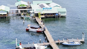 Tour rạch vẹm khám phá bắc đảo 1 ngày giá rẻ, trọn gói