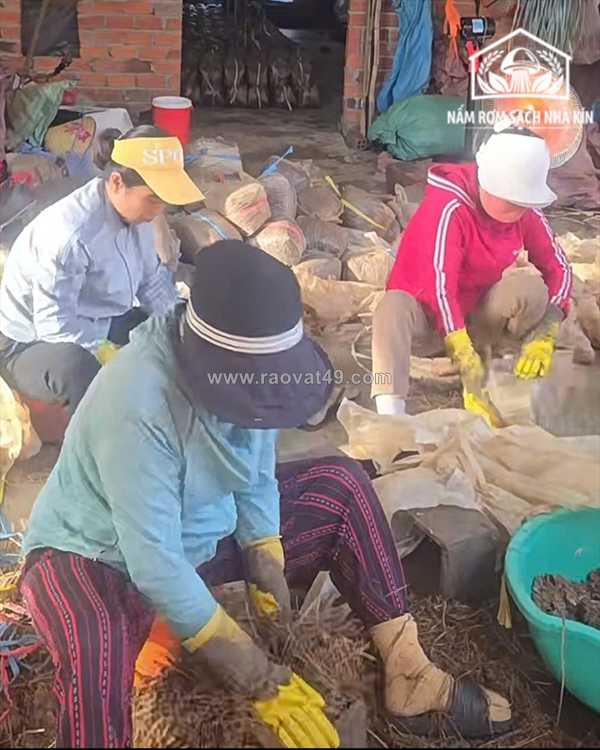 ~/Img/2026/6/trong-nam-rom-co-phai-la-huong-khoi-nghiep-tiem-nang-01.png