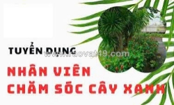 Tuyển nv chăm sóc cây cảnh làm ở q12 & bình dương