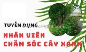 Tuyển nv chăm sóc cây cảnh làm ở q12 & bình dương