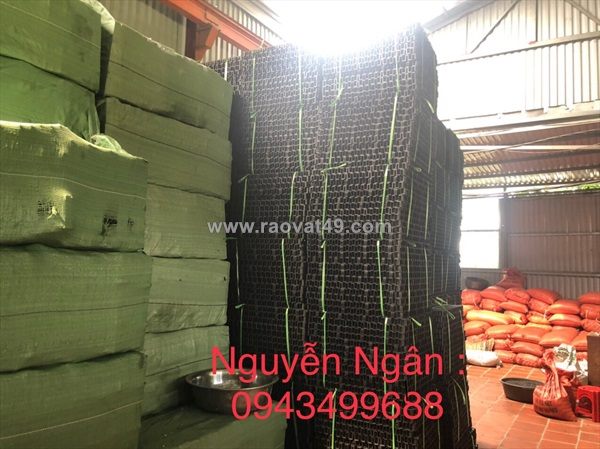 Vỉ trồng cỏ giá rẻ nhất thị trường