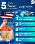 Vietcargo – chuyên vận chuyển hàng hóa nhanh chóng, tối ưu thời gian và chi phí