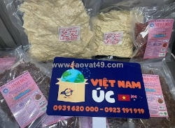 Vietcargo - lựa chọn hàng đầu khi bạn quyết định gửi đồ từ việt nam đi úc