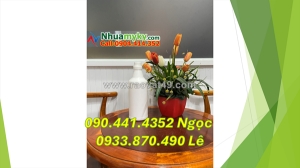 Vỏ chai nhựa 0.5 lít, chai nhựa 250ml giá rẻ, chai thủy tinh 100ml đựng thành phần thuốc trừ sâu