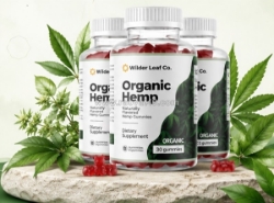Wilderleaf organic hemp gummies reviews – safe hemp supplement for daily wellness?
