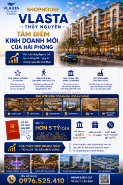 📊 nếu có 4 - 5 tỷ, bạn sẽ chọn vlasta thủy nguyên hay khu khác?