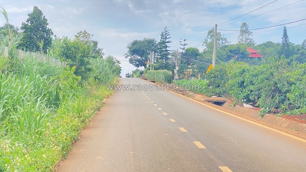 ~/Img/2026/7/1200m2-mat-tien-nhua-nhanh-bong-lai-hiep-thanh-duc-trong-cu-lam-dong-01.jpg