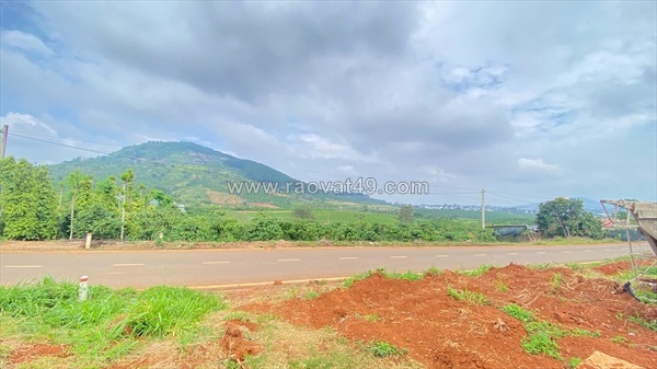 ~/Img/2026/7/1200m2-mat-tien-nhua-nhanh-bong-lai-hiep-thanh-duc-trong-cu-lam-dong-02.jpg